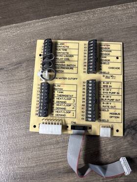 Rly20062 Lochinvar Low Voltage Control Board