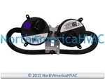 Oem Goodman Amana Furnace Air Pressure Switch Replaces 9375VD-0051 64-0536-A-00. Fixed Price $61.99.