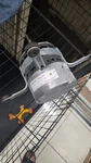 Rheem/ruud Protech X13 Blower Motor 1/2HP 51-104358-00. Fixed Price $219.99.